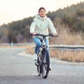 HIMO C26 26 Inch Electric Bicycle 48V250W